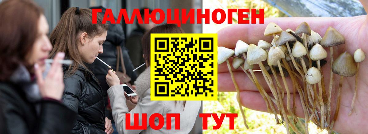 Псилоцибиновые грибы Magic Shrooms Киржач